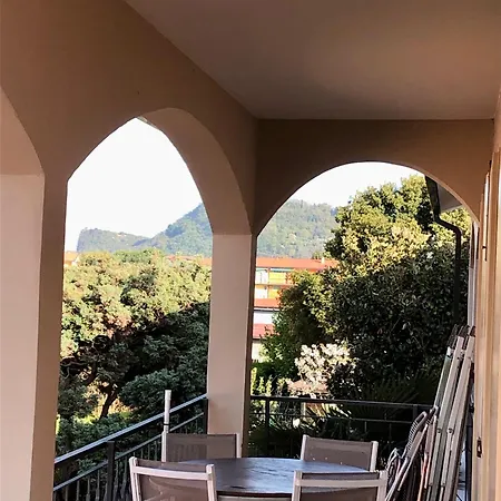 Oasi